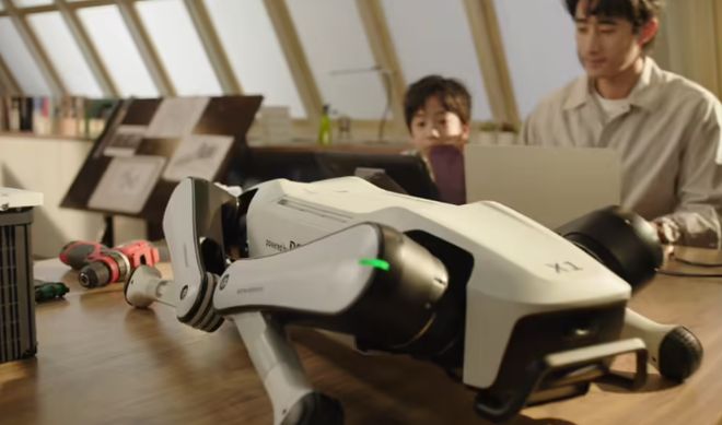 人玩具男士福音啊！澳门新葡京国产成年